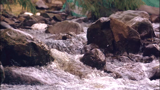slow motion video production