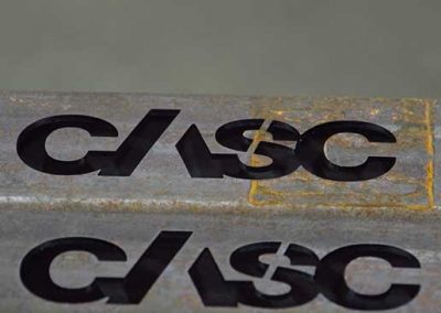 OWGP- CASC Case Study